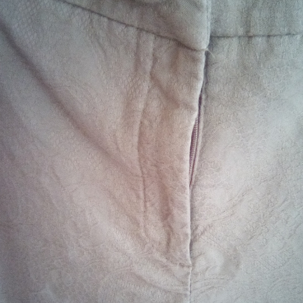 Dalia Collection Beige Textured Cropped Pants